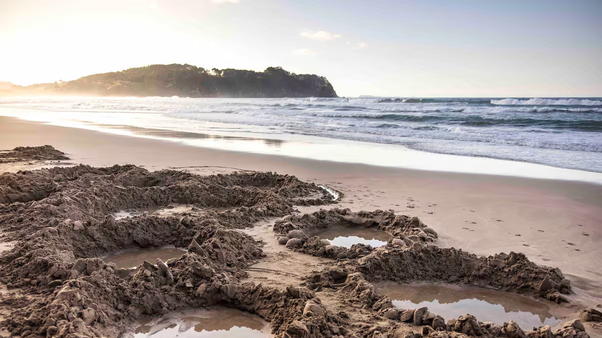 Hot water beaches