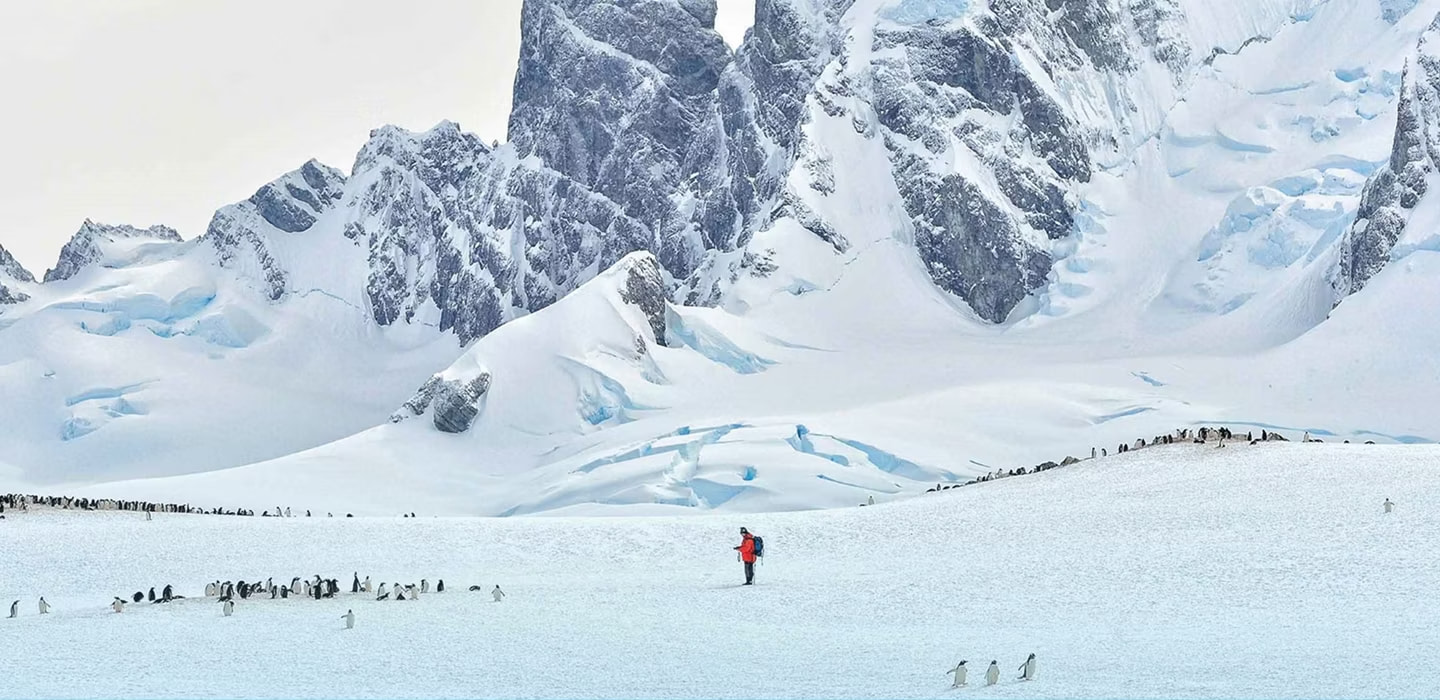 International Antarctic Centre 1