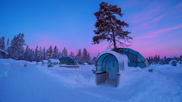 Kakslauttanen Igloo Stay 1