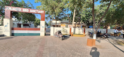 Khijadiya Bird Sanctuary