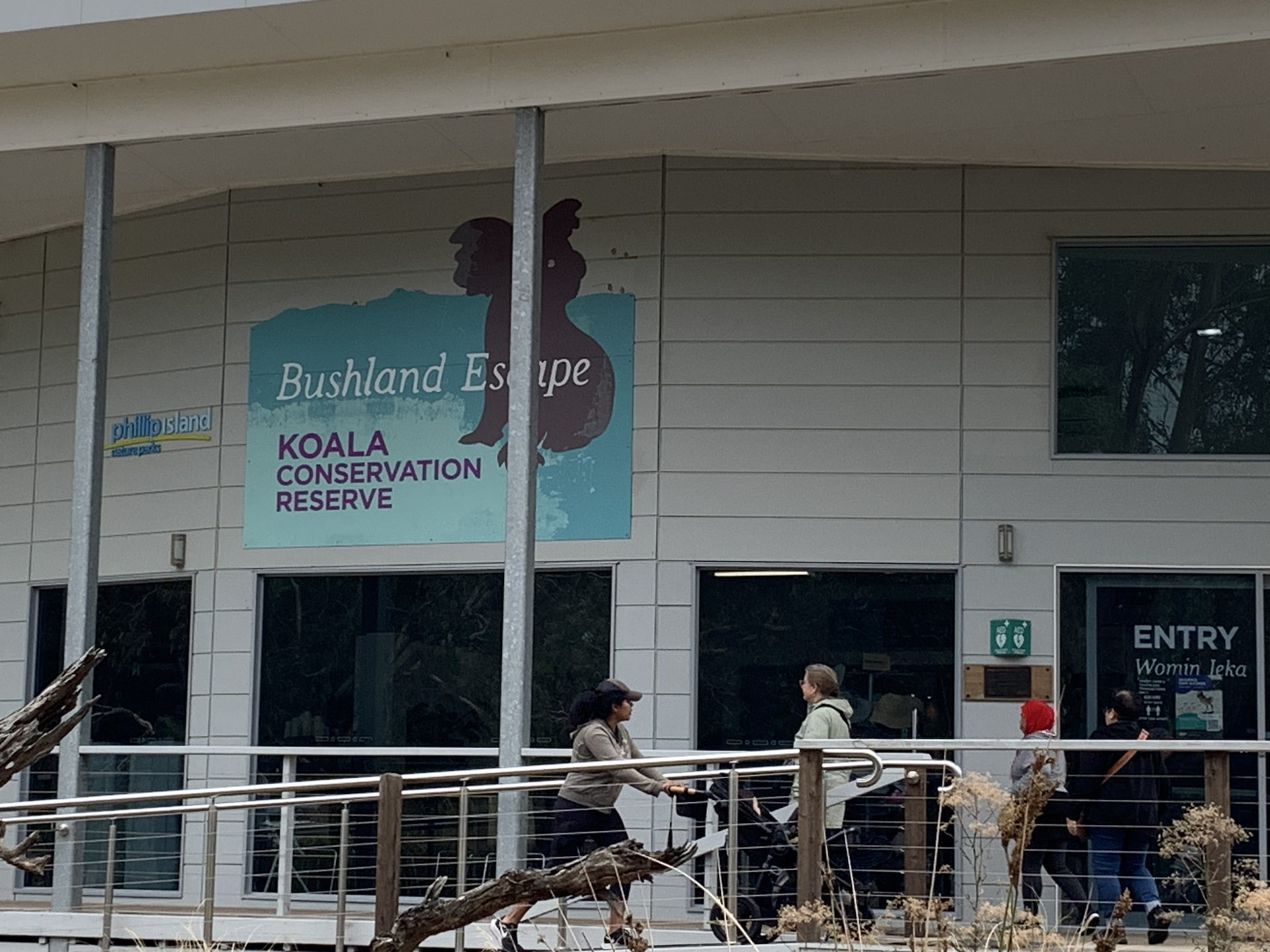 Koala Conservation Reserve 1