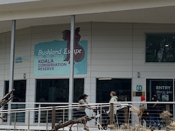 Koala Conservation Reserve 1