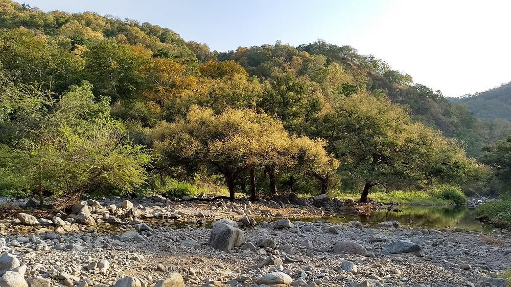 Kumbhalgarh Wildlife Sanctuary