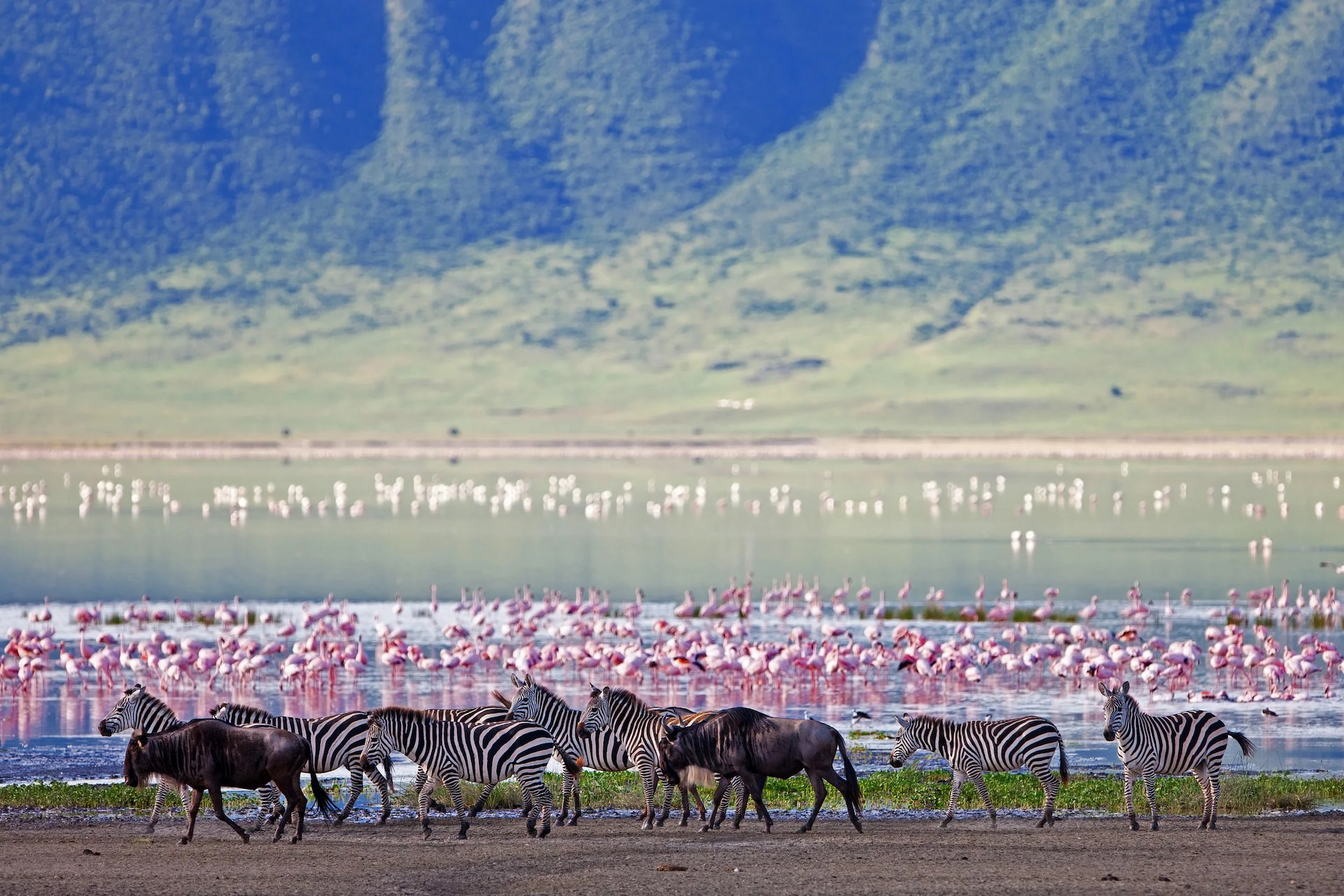 Lake Manyara National Park