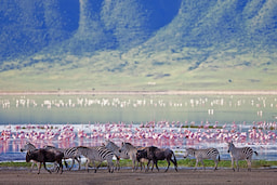 Lake Manyara National Park