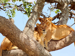 Lake Manyara National Park