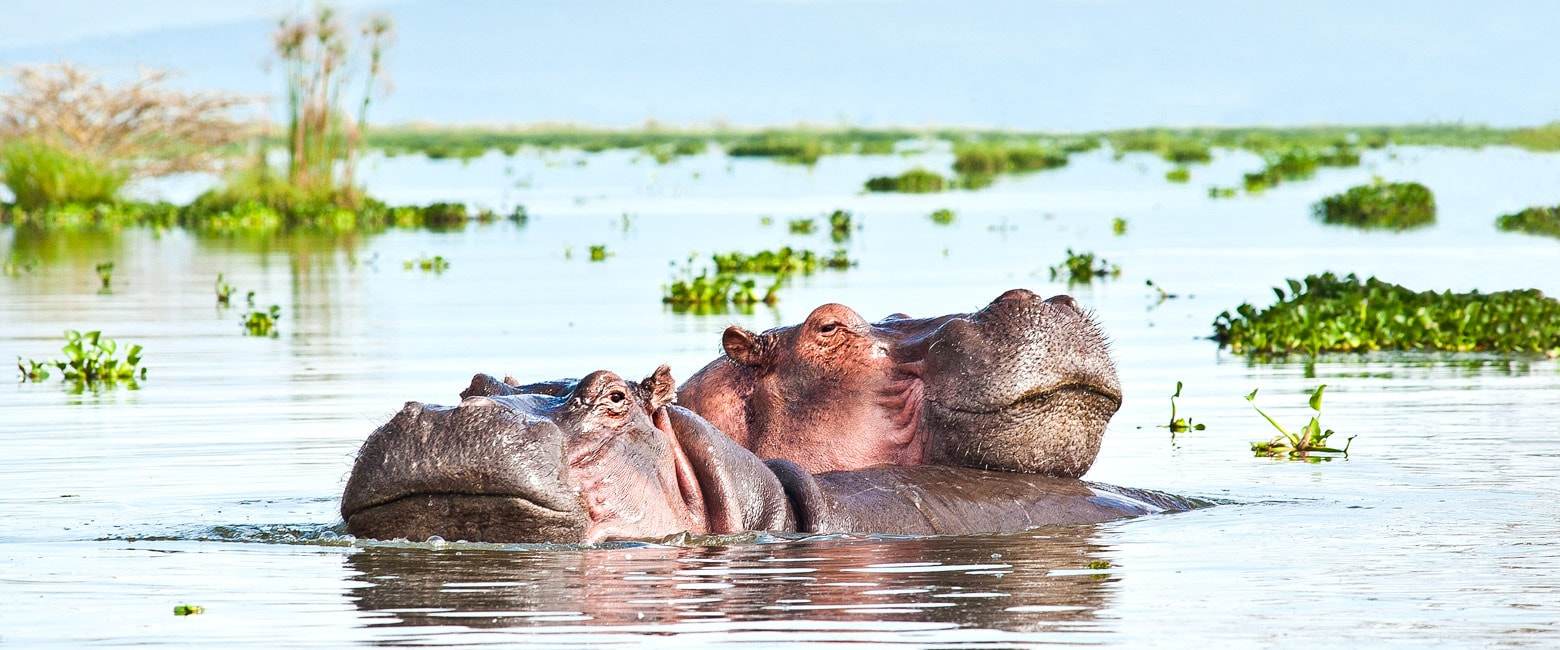 Lake Naivasha