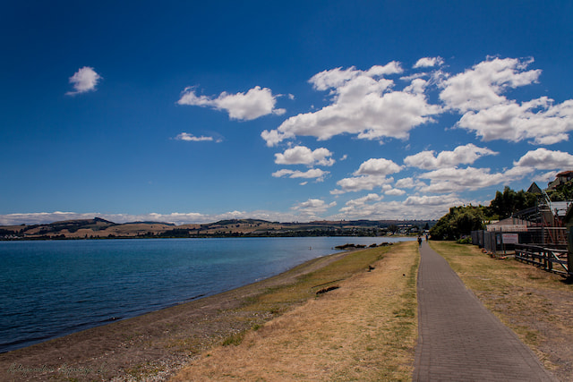 lake taupo rotorua 001