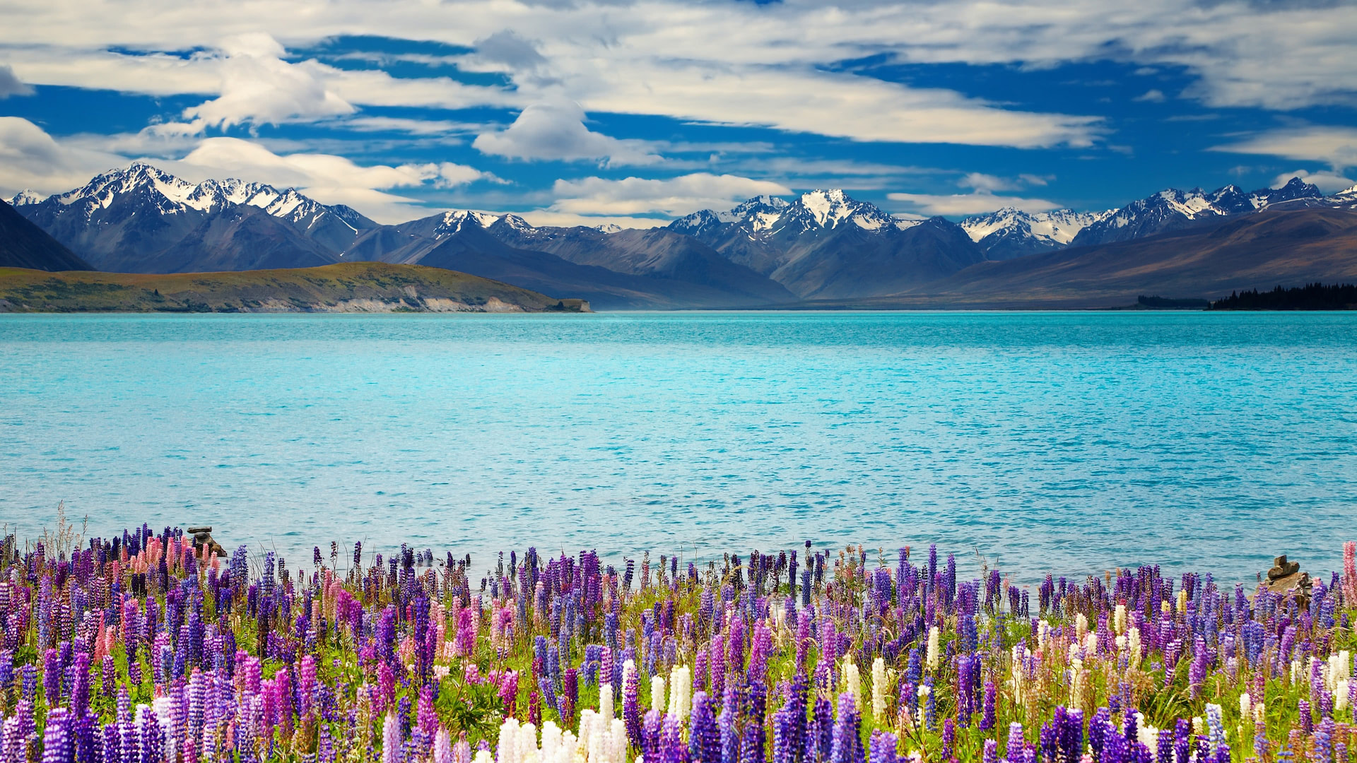 Lake Tekapo