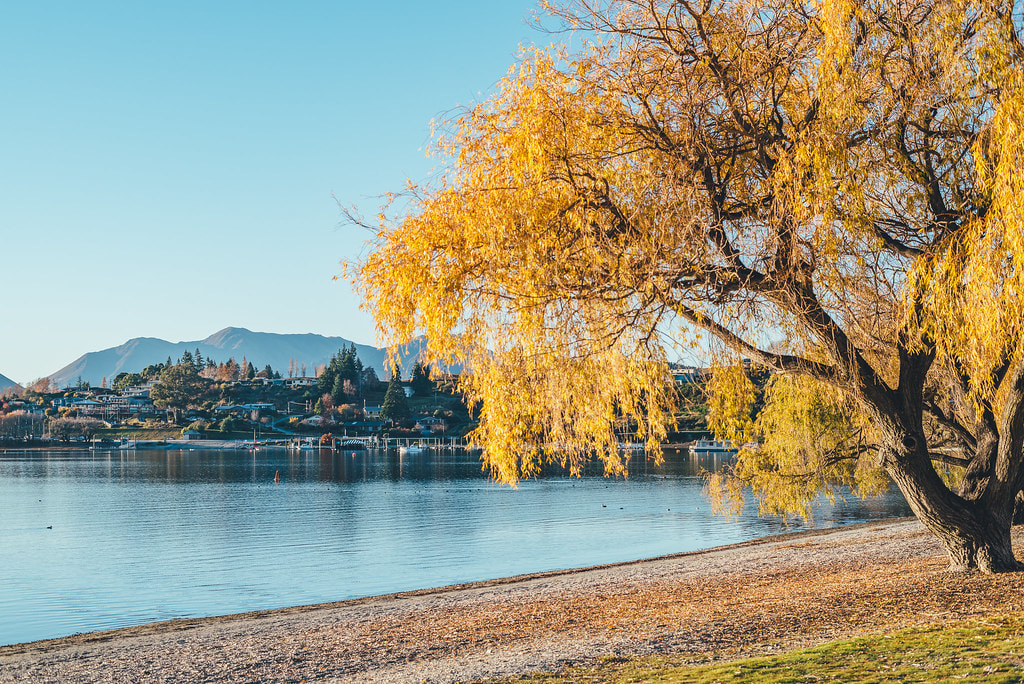 Lake Wanaka 1