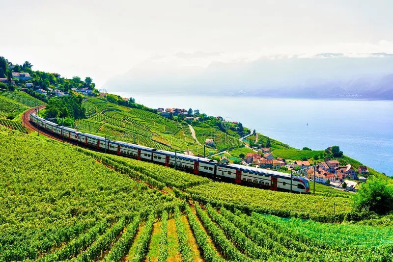 Lavaux Express