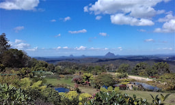 Maleny Botonical Garden 1