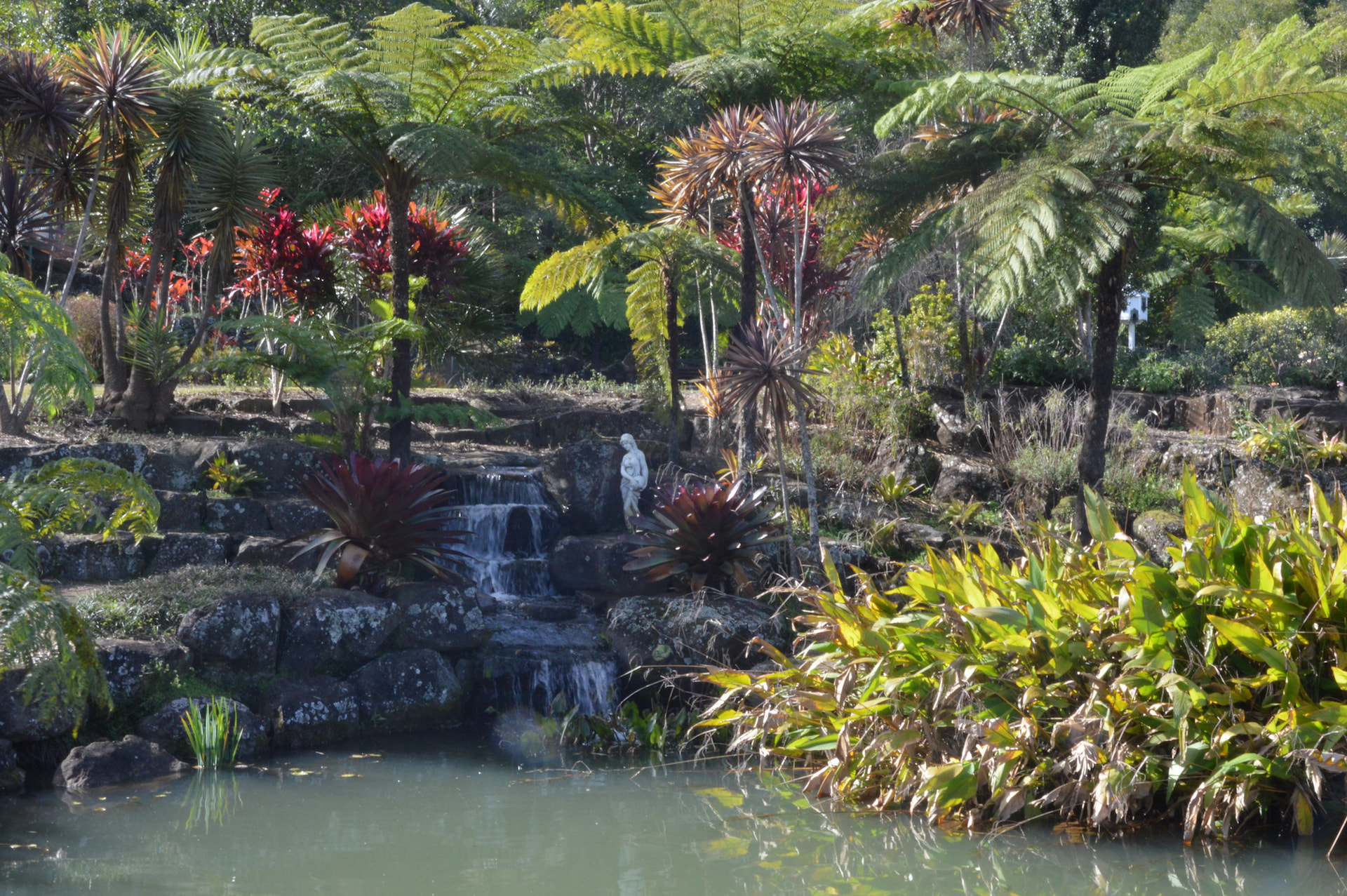 Maleny Botonical Garden 2