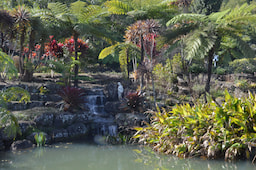 Maleny Botonical Garden 2