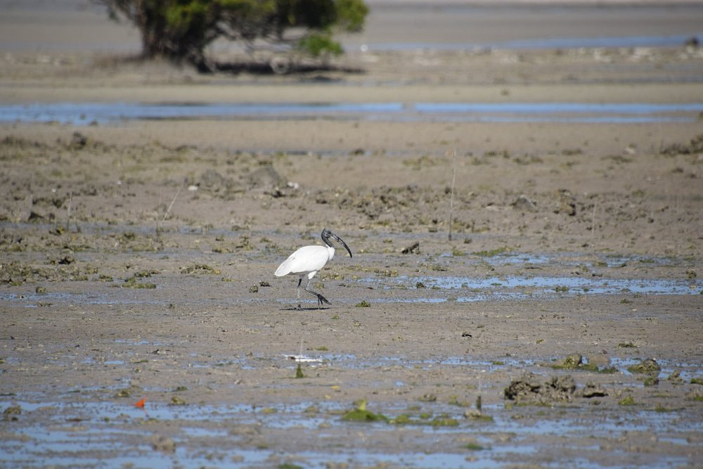 Marine National Park