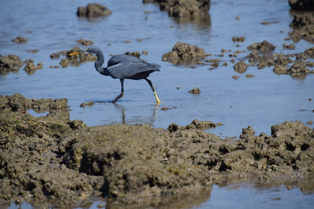 Marine National Park