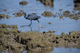 Marine National Park