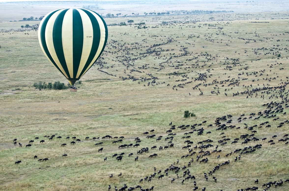 Masai Mara Hot Air Ballooning