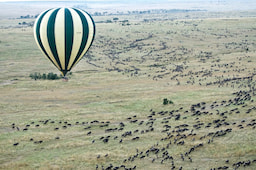 Masai Mara Hot Air Ballooning