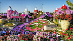 Miracle Garden 1