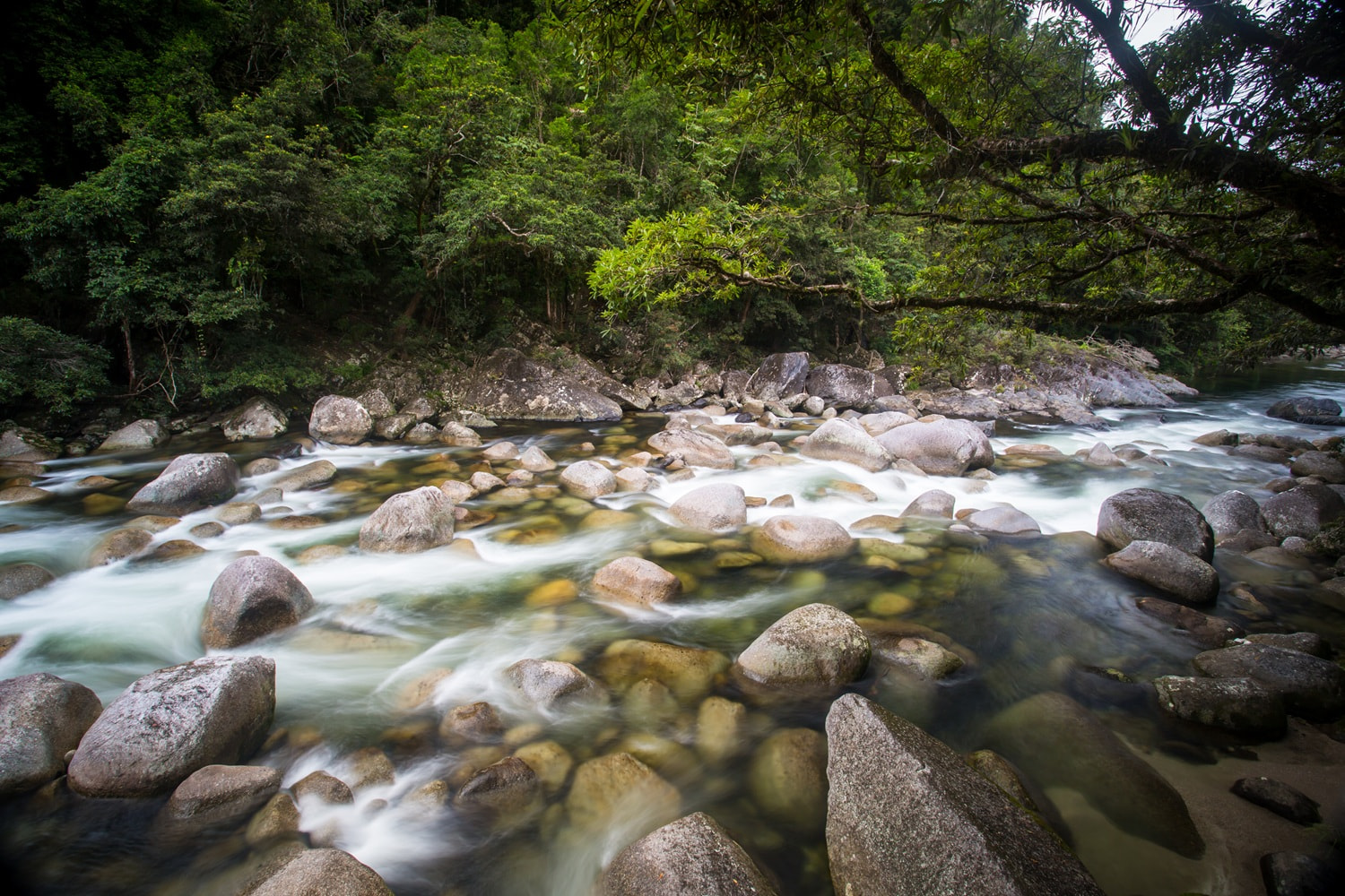 Mossman Gorge 1