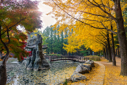Nami Island