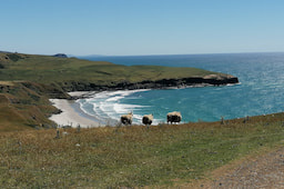 Otago Peninsula