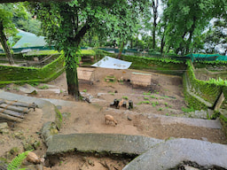 Padmaja Naidu Himalayan Zoological Park