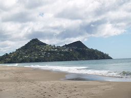 Pauanui Beach 1