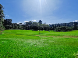 Peradeniya Botanical Garden 1