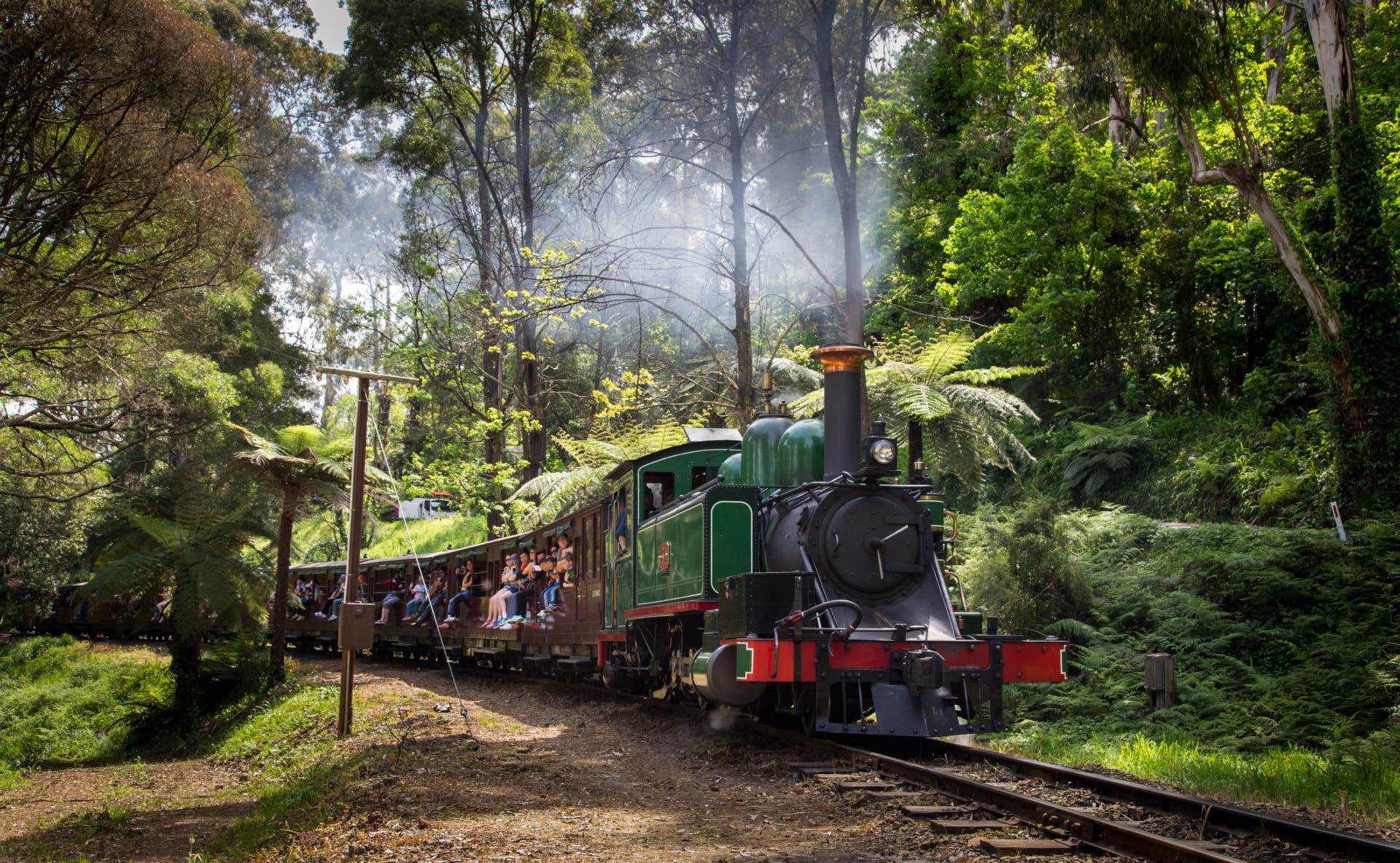 Puffing Billy Train Ride 1