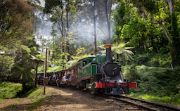 Puffing Billy Train Ride 1