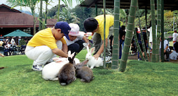 Rabbit Park