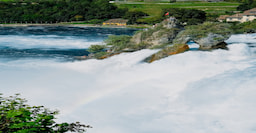 Visit to the Rhine Falls