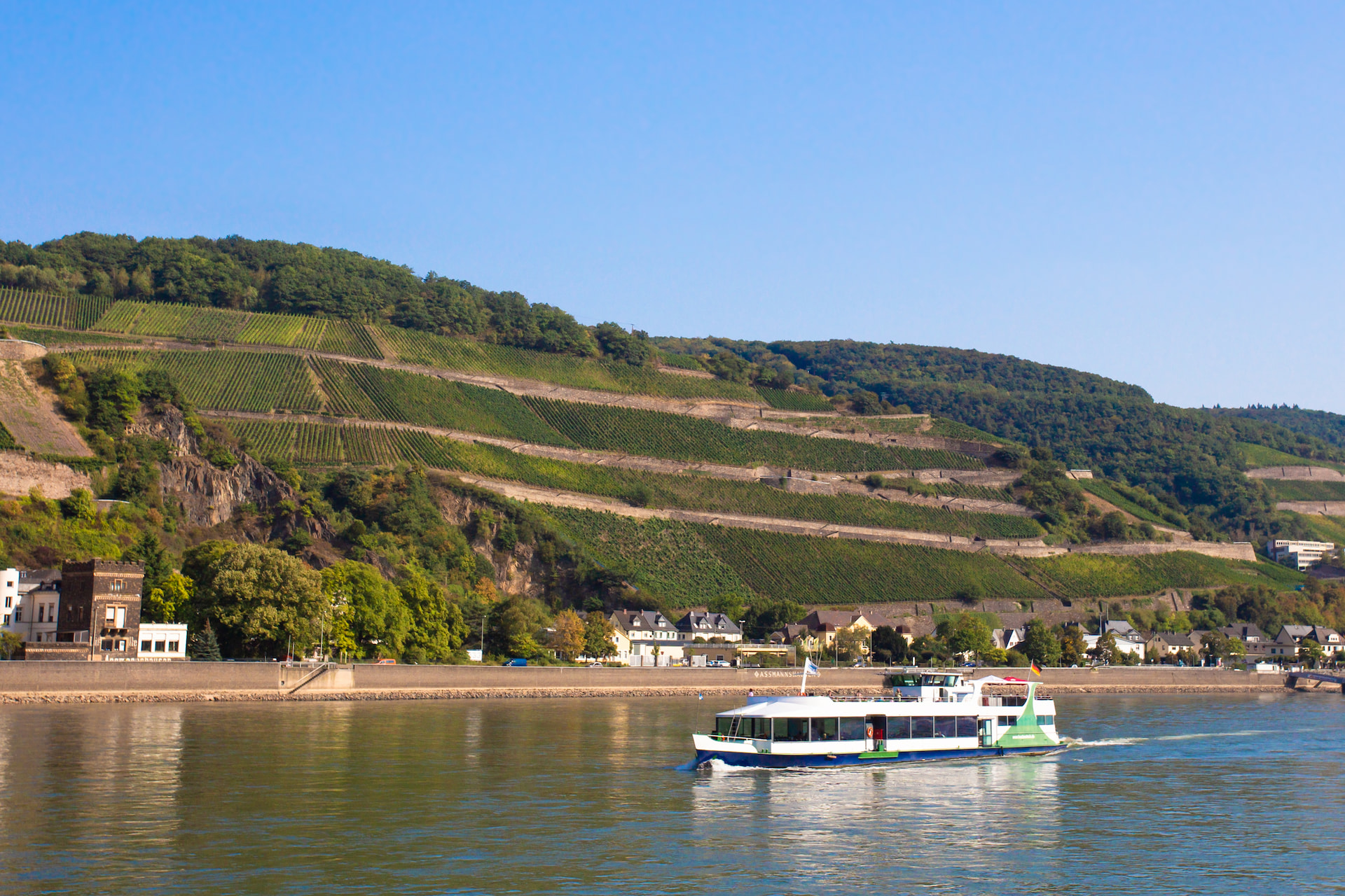 Rhine River Cruise