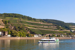 Rhine River Cruise