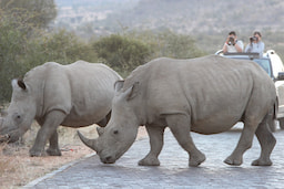 Pilanesberg National Park