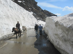 Rohtang Pass (Optional Cost )