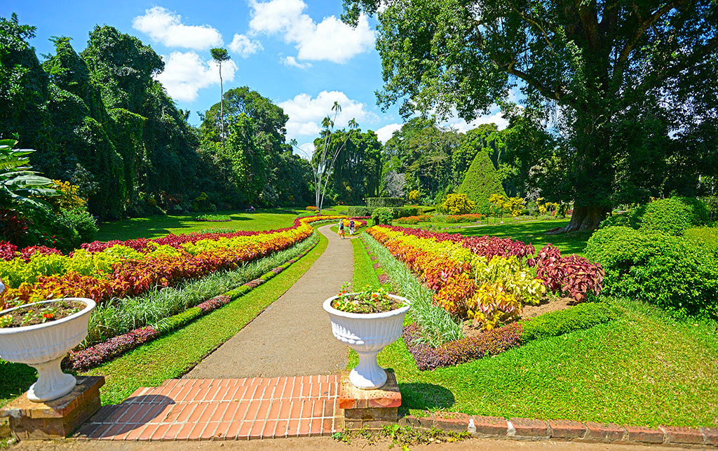 Royal Botanical Gardens
