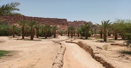 Heritage Oasis Trail