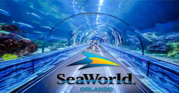 Sea World