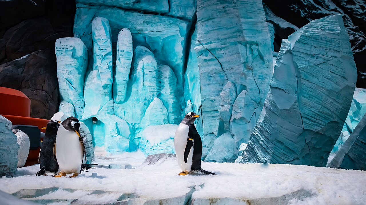 Sea World Abu Dhabi 2