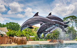 SeaWorld Orlando 1