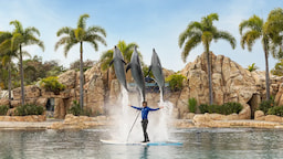 SeaWorld 2