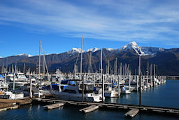 Seward City 1