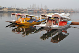 Shikara Ride on Dal Lake