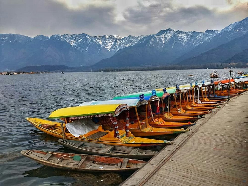 Shikara Ride on Dal Lake