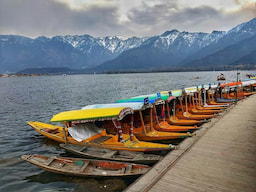 Shikara Ride on Dal Lake