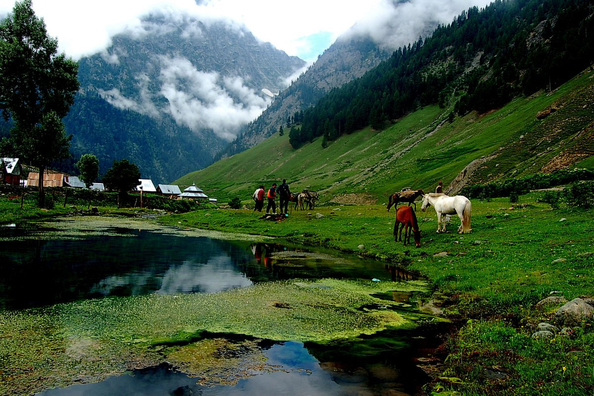 Sonmarg City