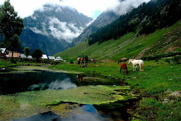Sonmarg City